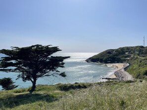 Paisagem costeira com uma árvore imponente, uma praia e um trecho de costa rochosa.