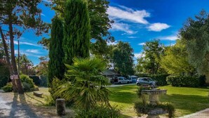 Un giardino curato con diverse piante, una fontana in pietra e un cielo azzurro limpido.