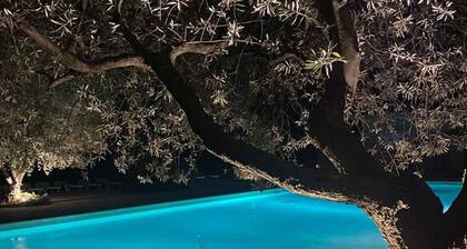 Chalet 7 pers avec Terrasse