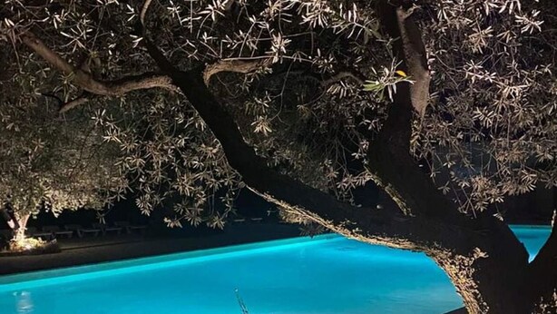 A pool with clear blue water, surrounded by trees and shrubs. - Mobile home for 6 with terrace (Laurens)