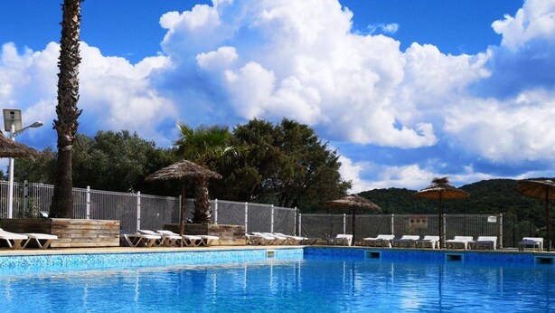 Une piscine entourée d’arbres et d’une clôture, avec des chaises longues et des parasols.