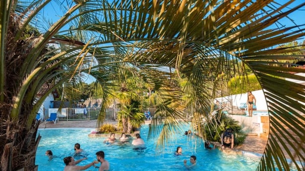 Ein Swimmingpool, umgeben von Palmen und wolkenlosem, blauem Himmel.