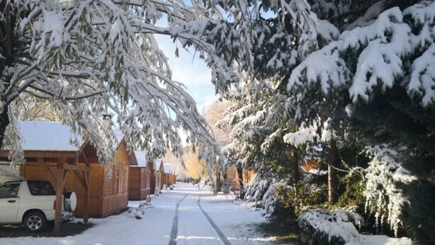 A snow-covered street with buildings on one side and trees on the other.