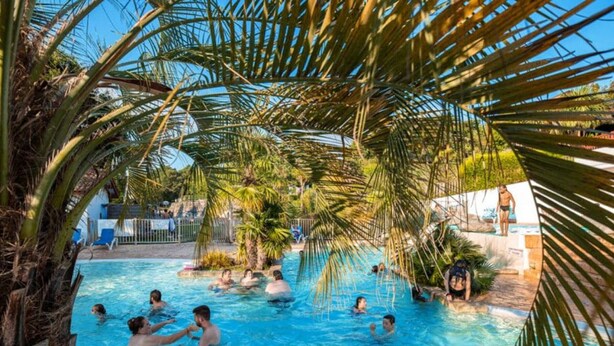 Piscina rodeada de palmeras y un cielo azul despejado.