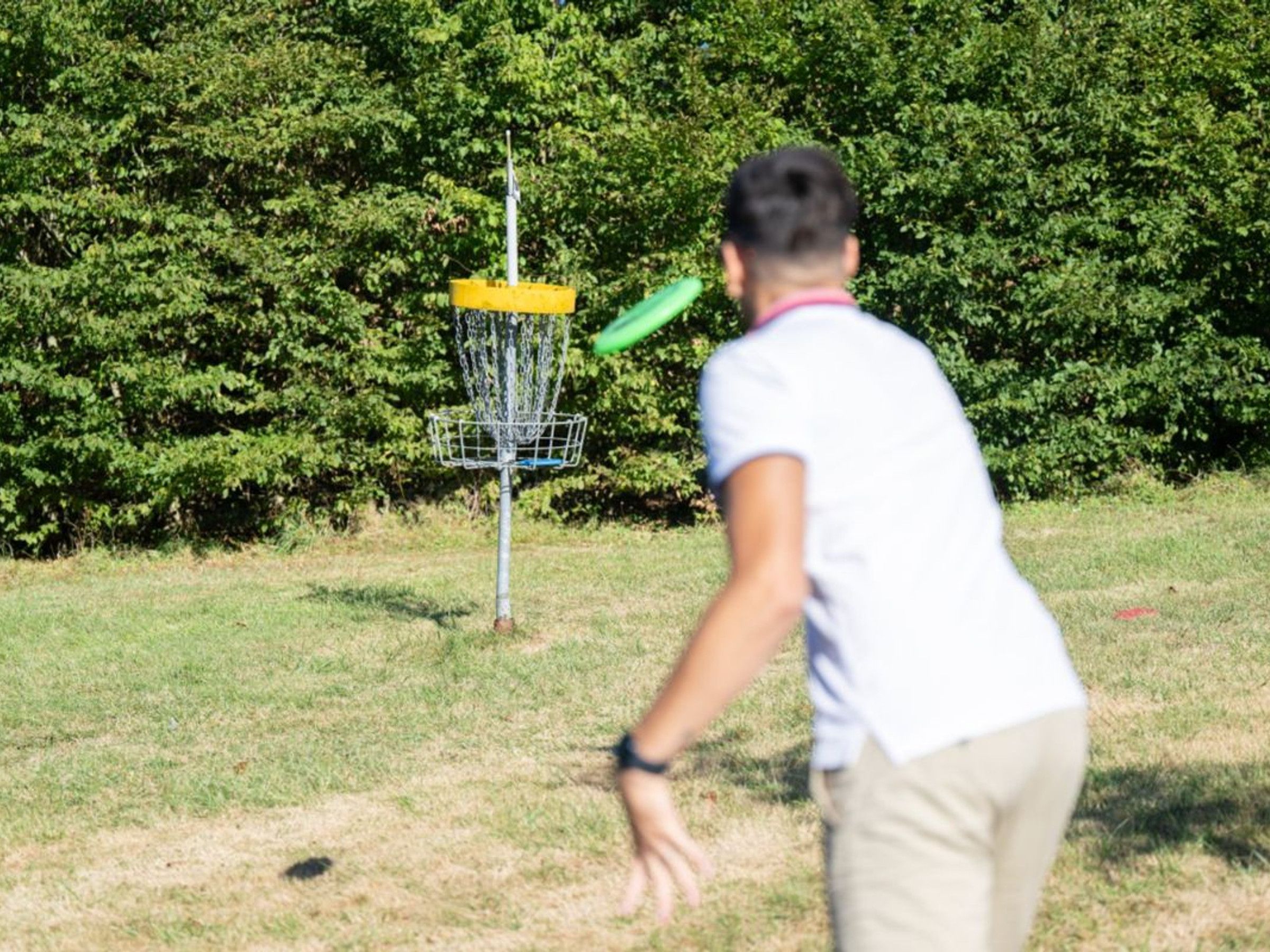 Iemand gooit een frisbee in een grasveld, met een metalen mand op de achtergrond.