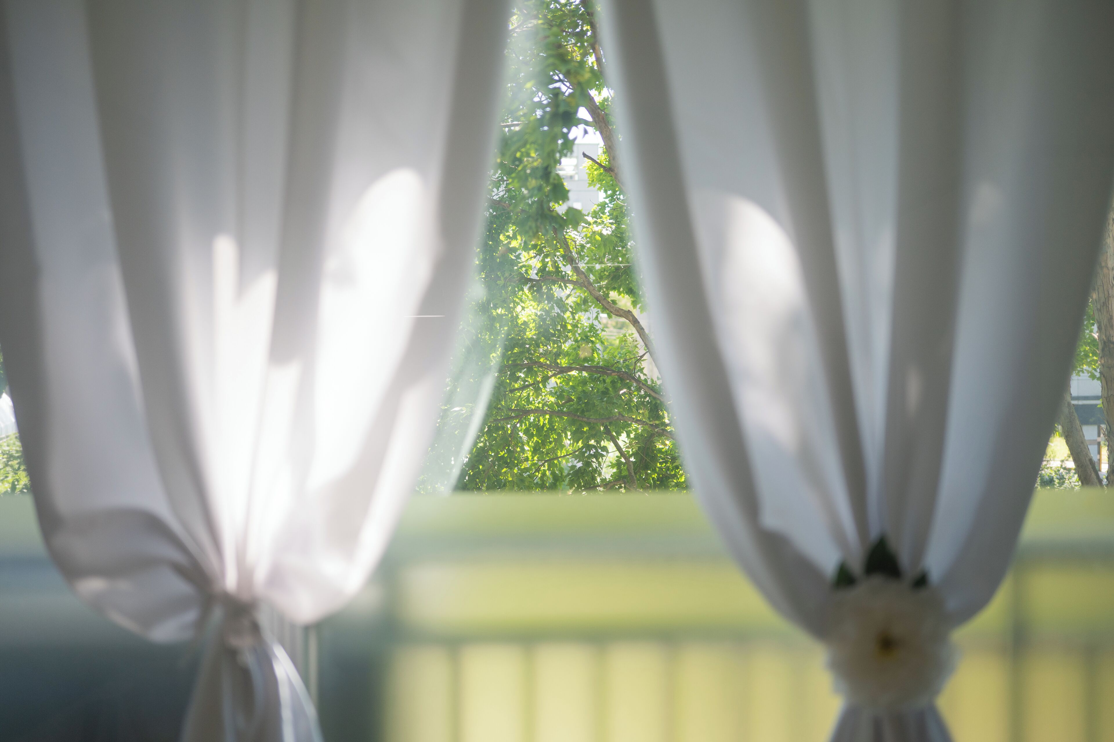 Vista a través de cortinas blancas traslúcidas sobre un fondo verde borroso.