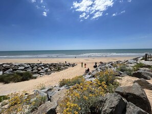 Playa en los alrededores 