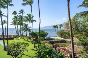 Condo, 2 Bedrooms | Property grounds - Menehune Shores, #301 2 Bedroom Condo (Kihei)