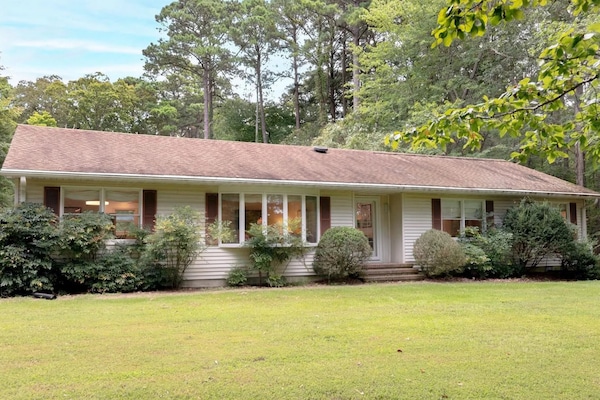 A charming ranch-style home surrounded by towering pines and lush landscaping, nestled on spacious grounds in a peaceful wooded setting.