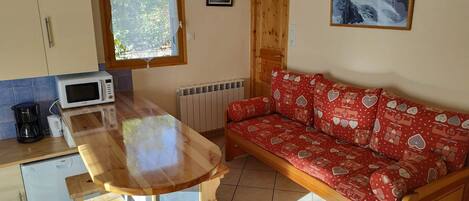 TV, ping pong, video library