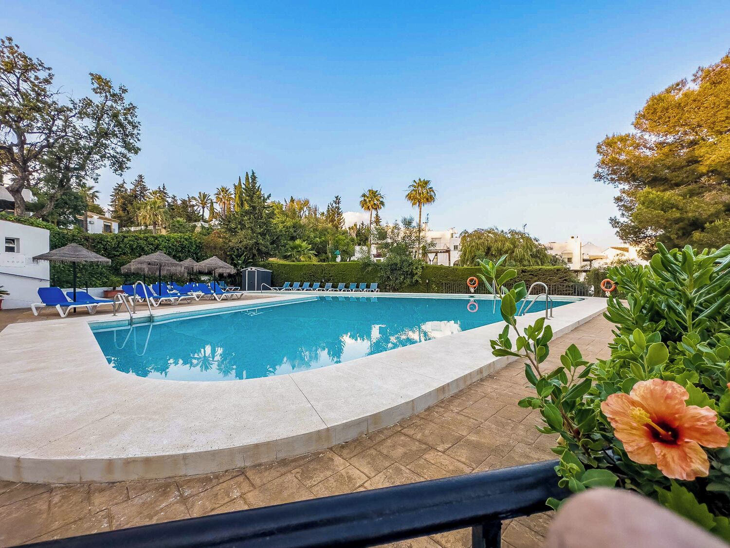 Piscina com espreguiçadeiras e guarda-sóis, cercada por vegetação e edifícios.