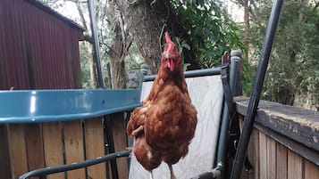 Enceinte de lâhĂ©bergement