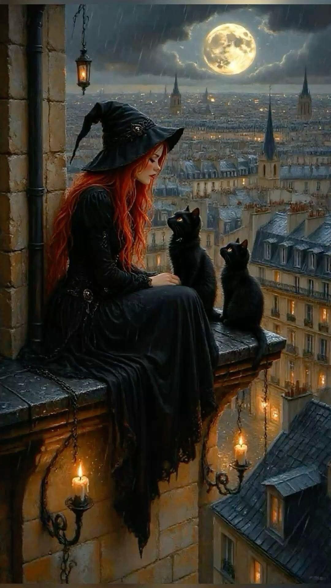 Vue depuis l’hébergement