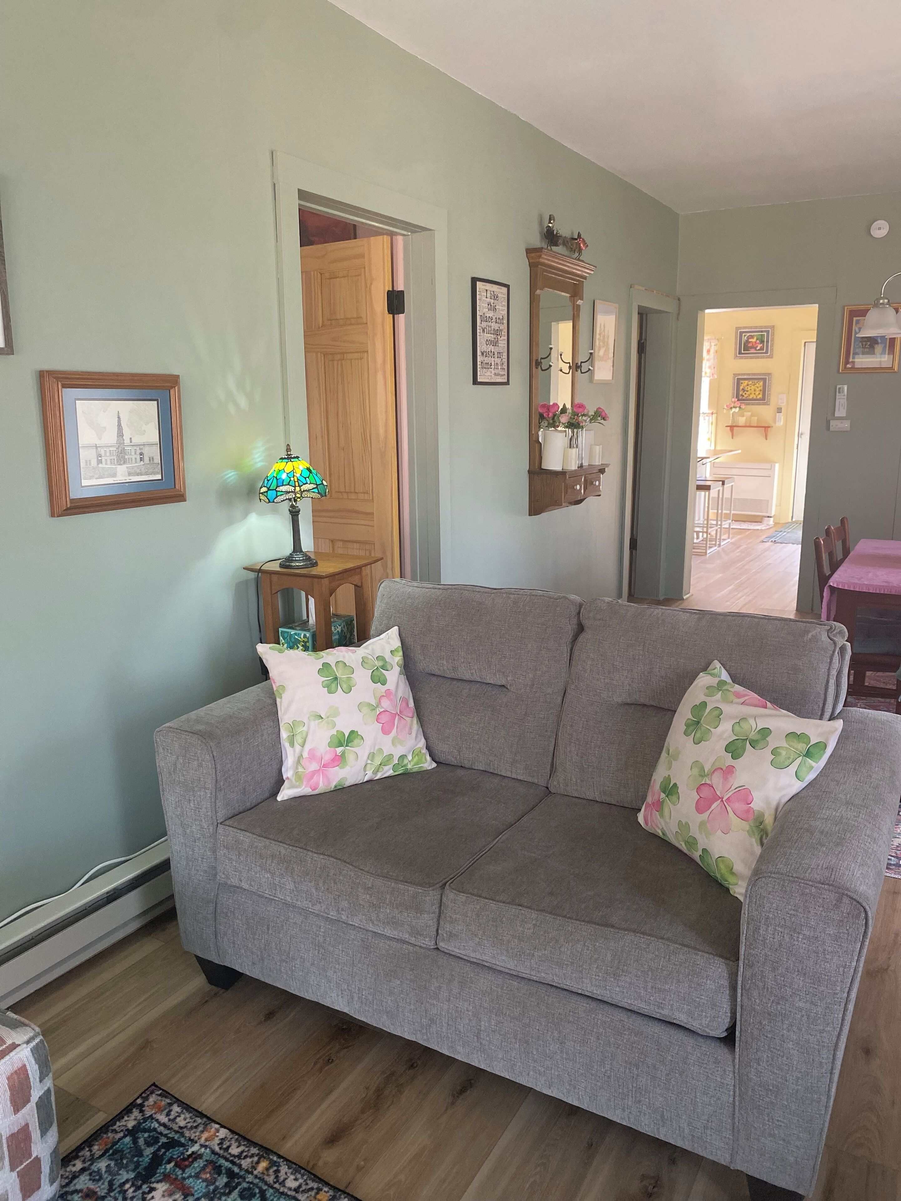 Televisión, reproductor de DVD, libros, videoteca