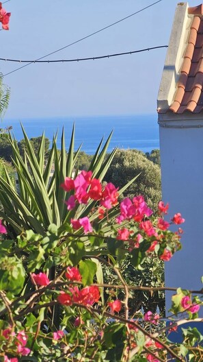 Property grounds - Charming Villa with pool on top of Marinha Beach (Lagoa)