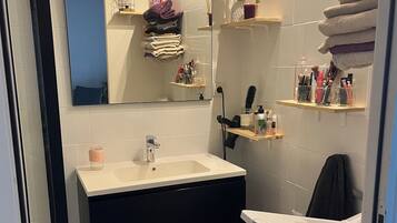 Suihku, hiustenkuivaaja, pyyhkeet, vessapaperi