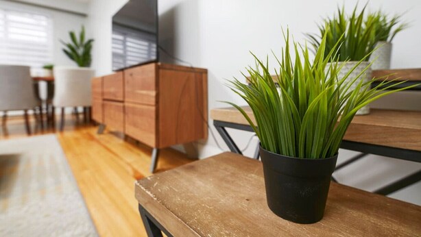 Ein modernes Wohnzimmer mit einem Holzesstisch, einem schwarzen Topf mit Grünpflanzen und einem Holzschrank.