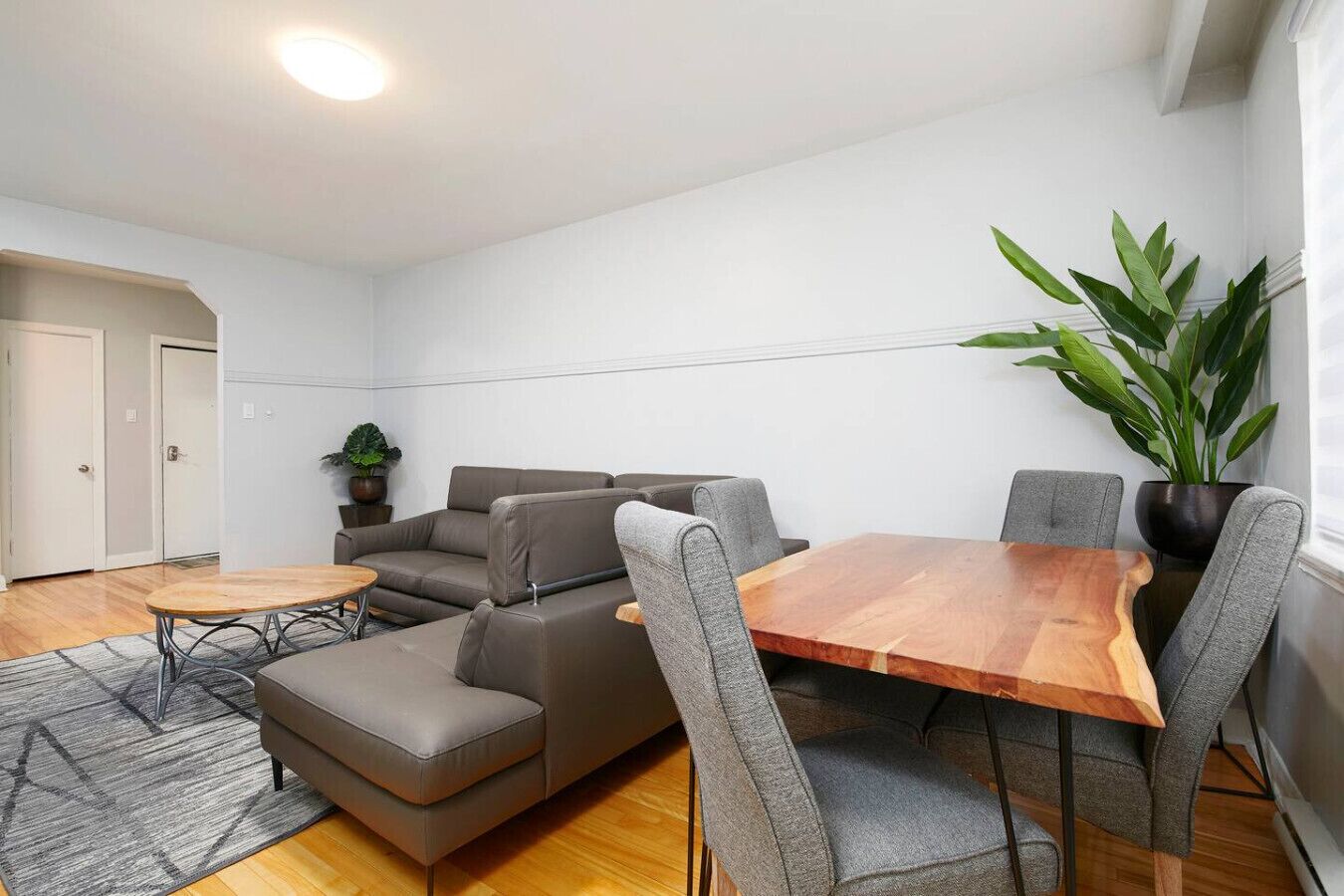 A modern living room with a grey sectional sofa, a wooden dining table with four grey chairs, a small round table, and a potted plant.