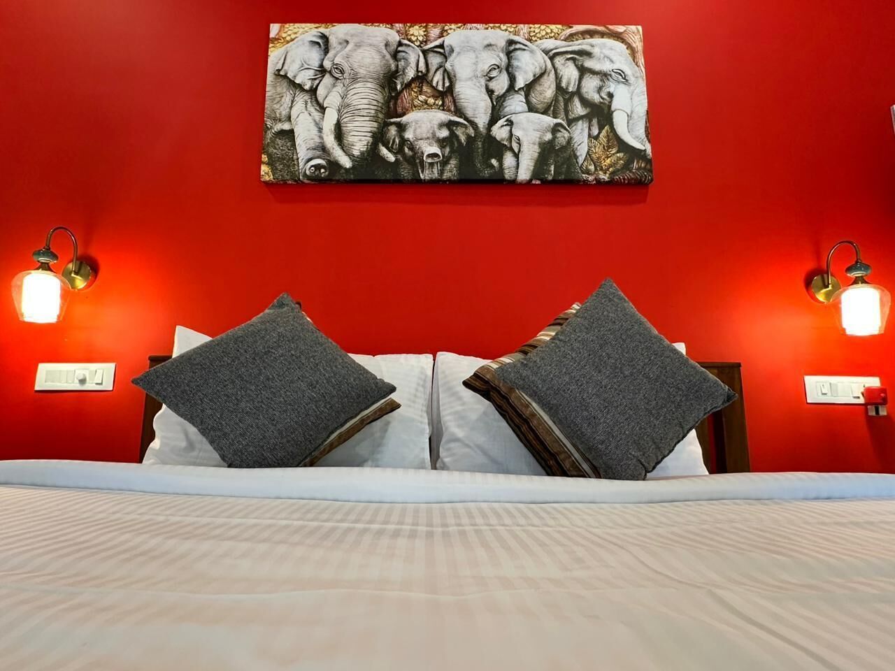 Iron/ironing board, free WiFi