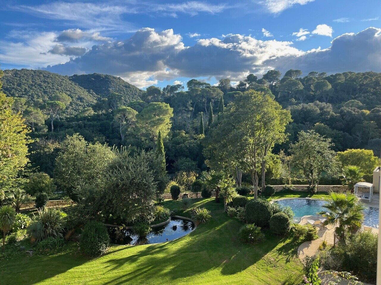 Un rigoglioso giardino con piscina, circondato da alberi e una collina sullo sfondo.