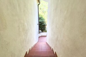 Property grounds - Angiolina - Rocchette - by Alfareal (Castiglione della Pescaia)