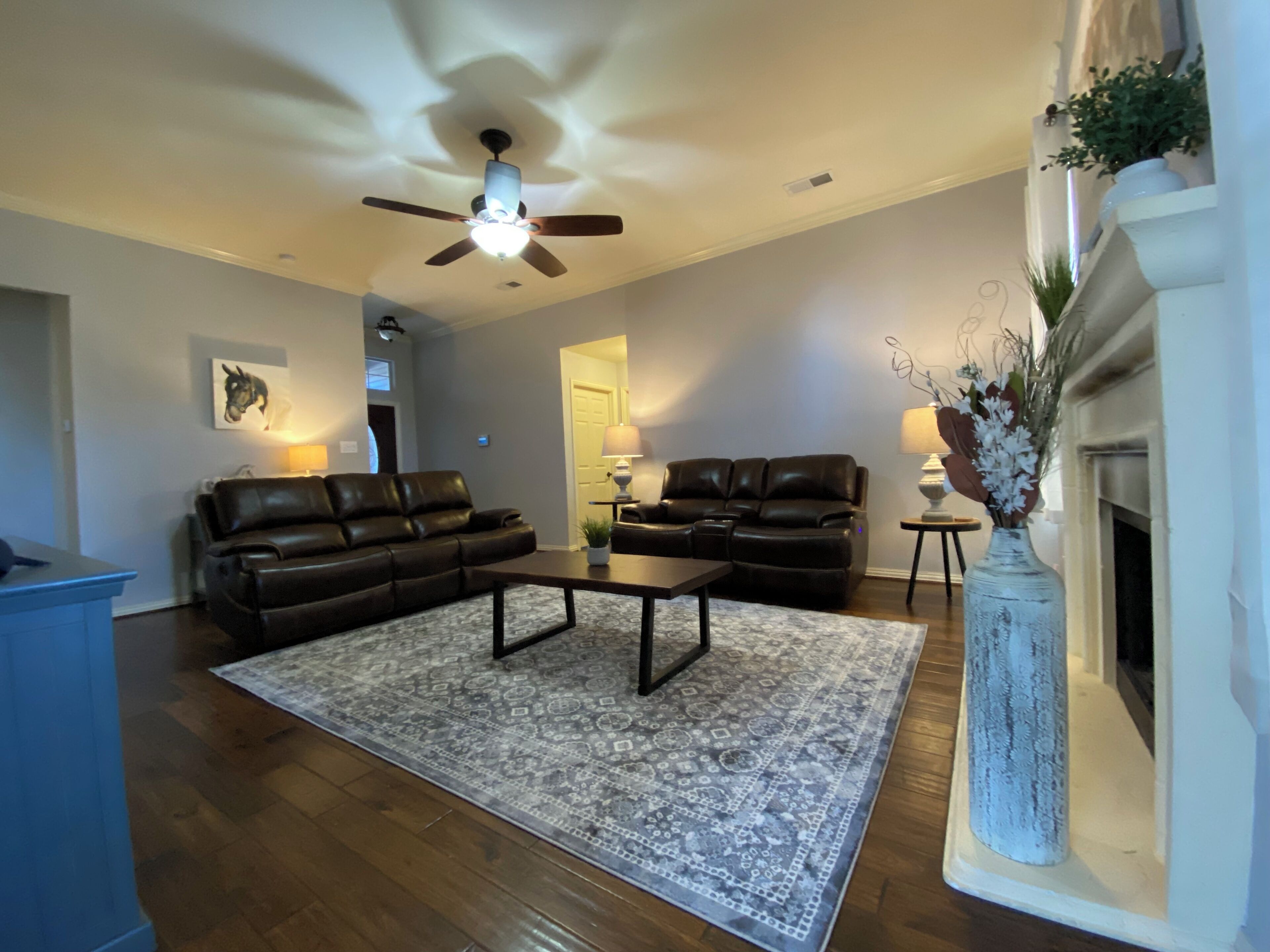 Smart TV, computer monitors