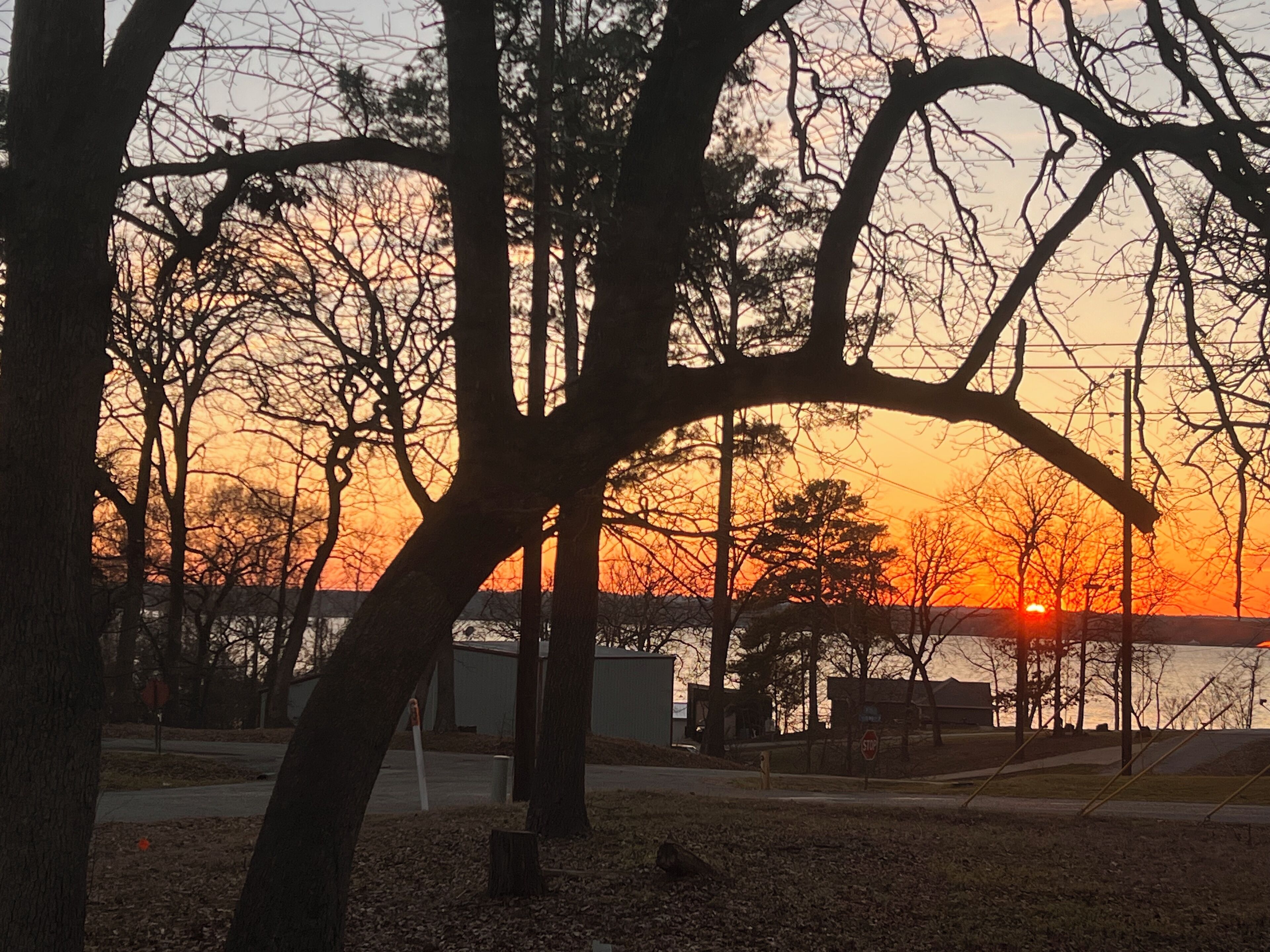 A sunset view with trees and a body of water in the background.