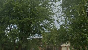 A residential driveway with a garage, surrounded by trees and a lawn.