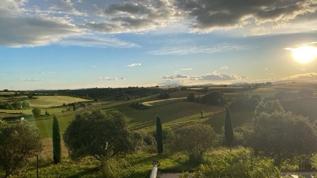 A rural landscape with fields, trees, and a distant horizon.