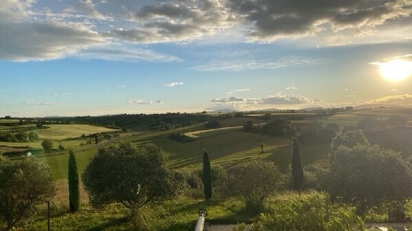 A rural landscape with fields, trees, and a distant horizon. - PROVENCE DODO (Valensole)
