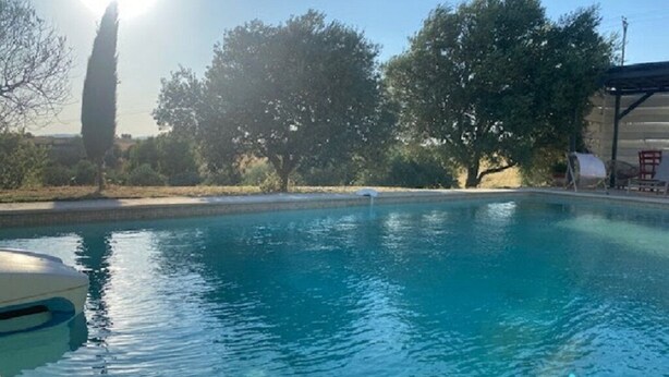 A swimming pool with clear blue water, surrounded by trees and a clear sky.