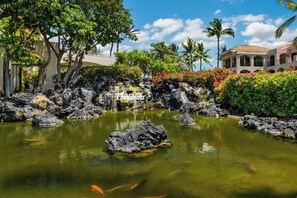 Property grounds - Couples Retreat!  138 Shores at Waikoloa (Waikoloa Beach Resort)