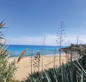 Playa en los alrededores y toallas de playa 