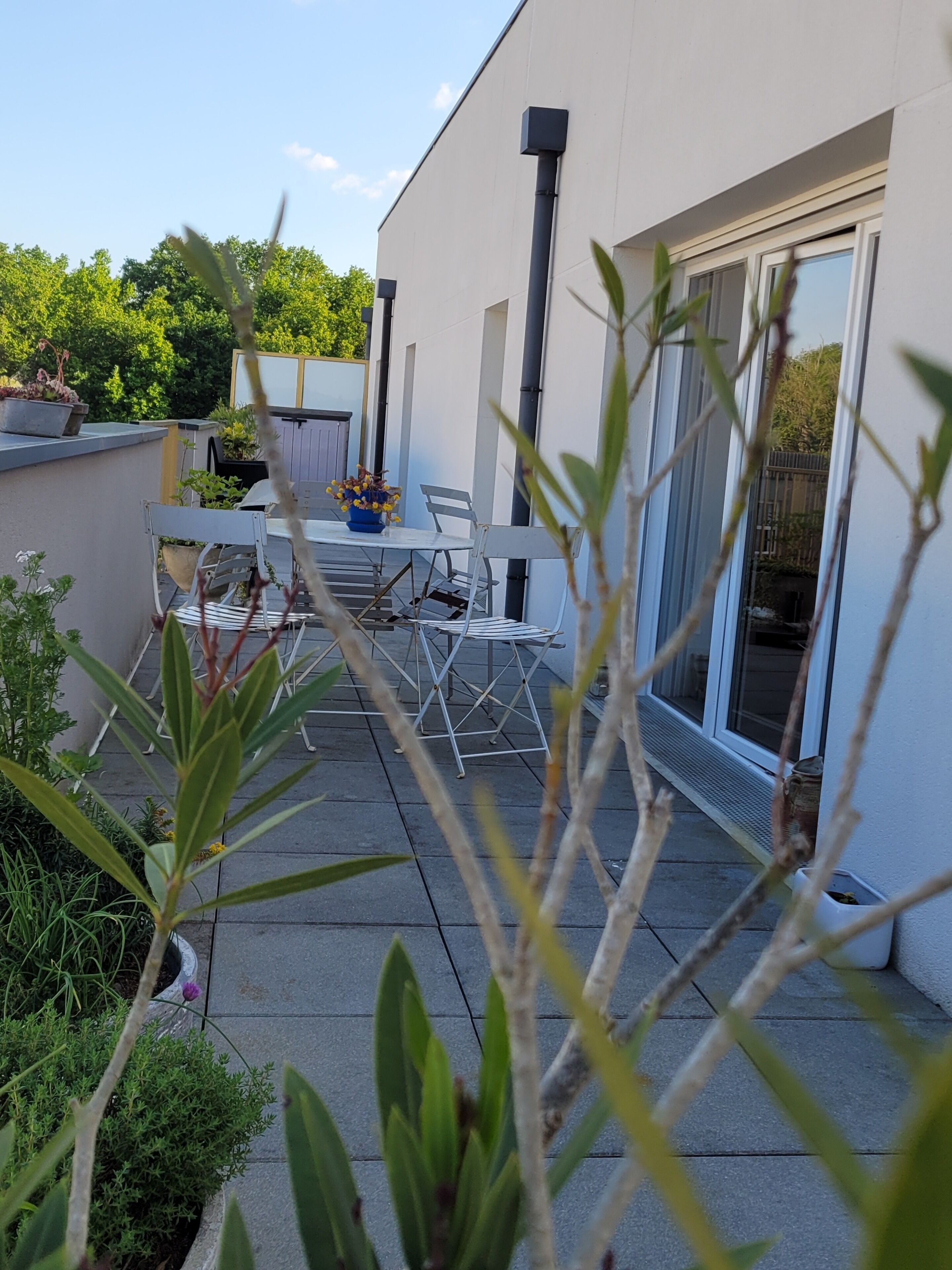 Une terrasse extérieure moderne, avec une table et des chaises, entourée de plantes en pot et bordée d’un bâtiment blanc doté de grandes fenêtres.