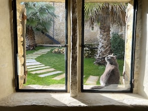 A window with a view of a stone wall, a palm tree, and a cat sitting outside. - Mas Grange Neuve (Potelières)