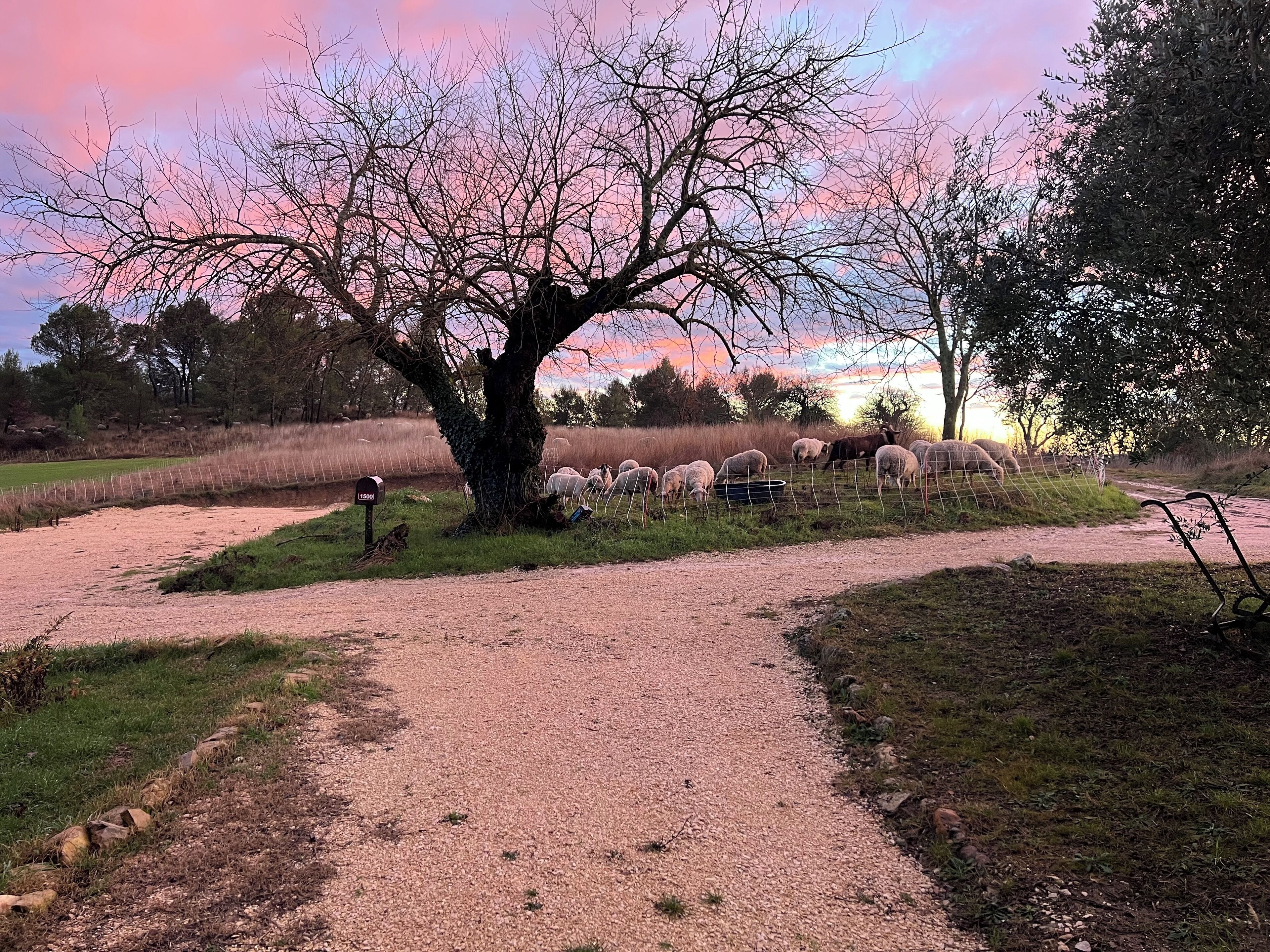 Overnattingsstedets uteområder