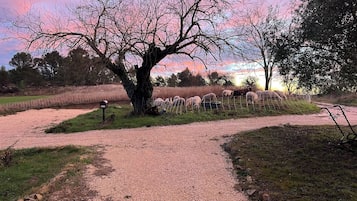 Overnattingsstedets uteområder