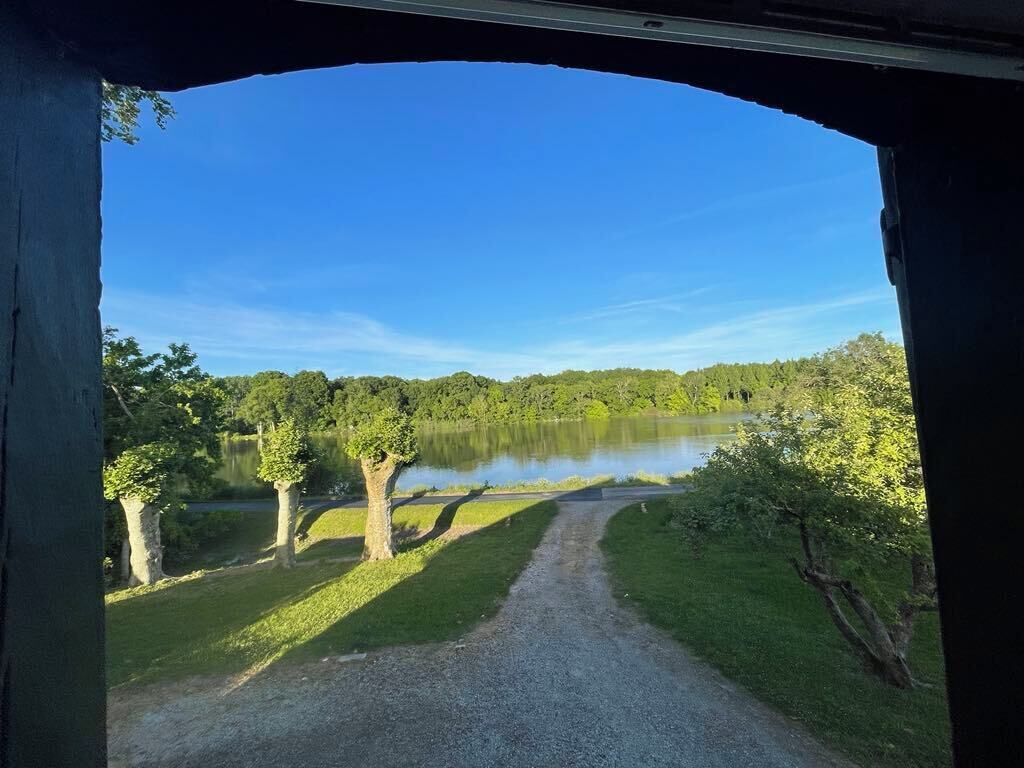 A gravel path leading to a lake with trees on either side.