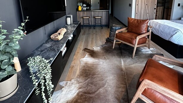 A modern living room with a flat-screen TV, a ceiling fan, a sofa, a chair, and a bed. - Atena Urban Living (Guadalajara)