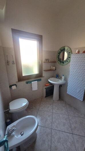 Shower, hair dryer, bidet, towels