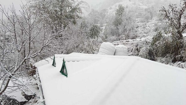 A building with a snow-covered roof and a green decorative trim. - Kabila King Resort (Chakrata)
