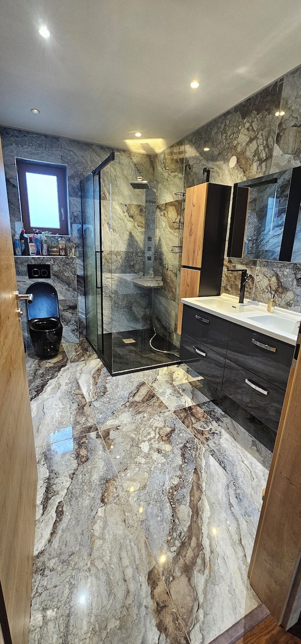 Shower, hair dryer, soap, toilet paper