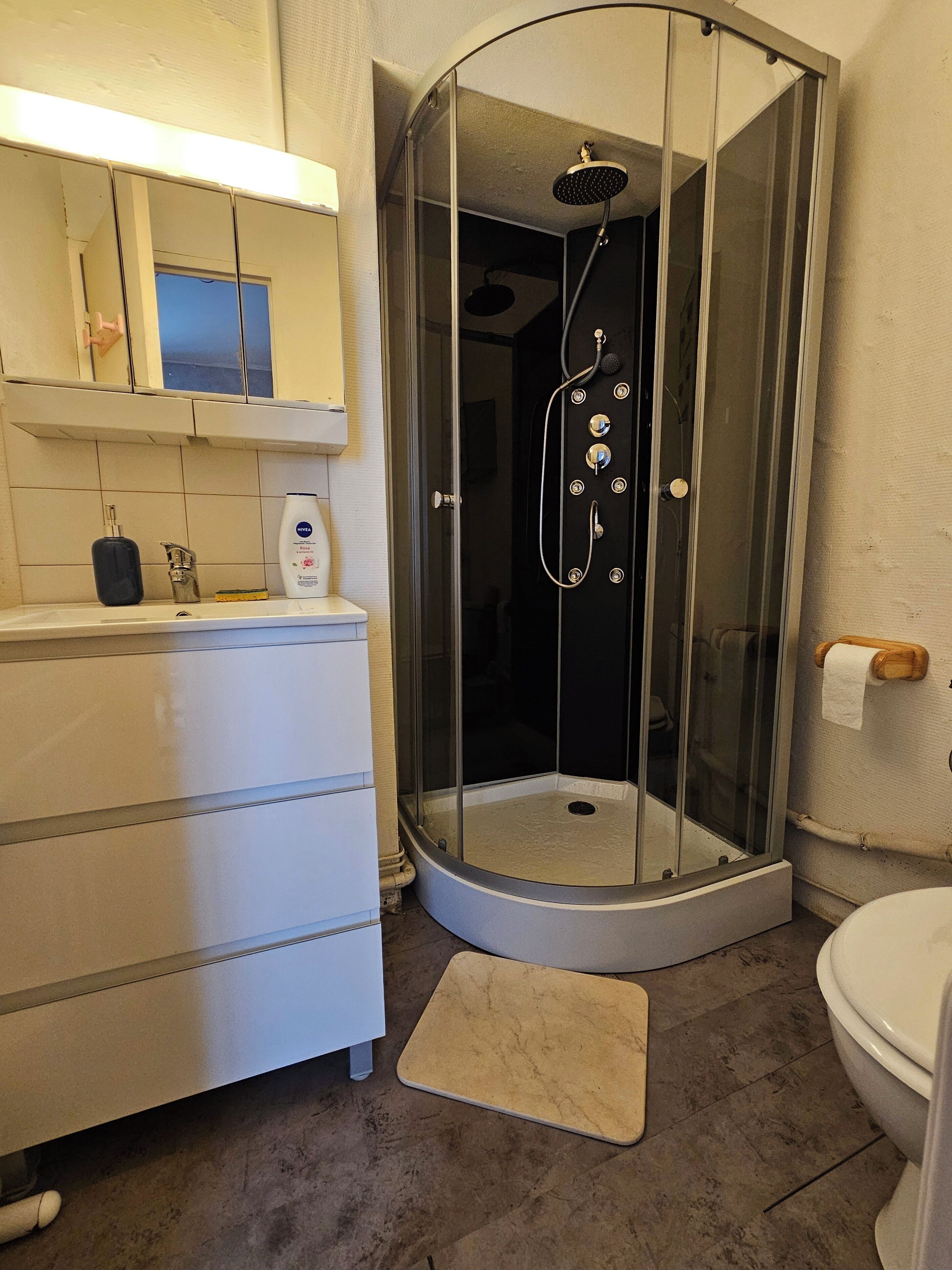 Haartrockner, Seife, Toilettenpapier