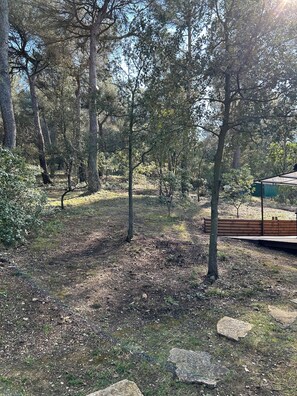 Áreas de la propiedad