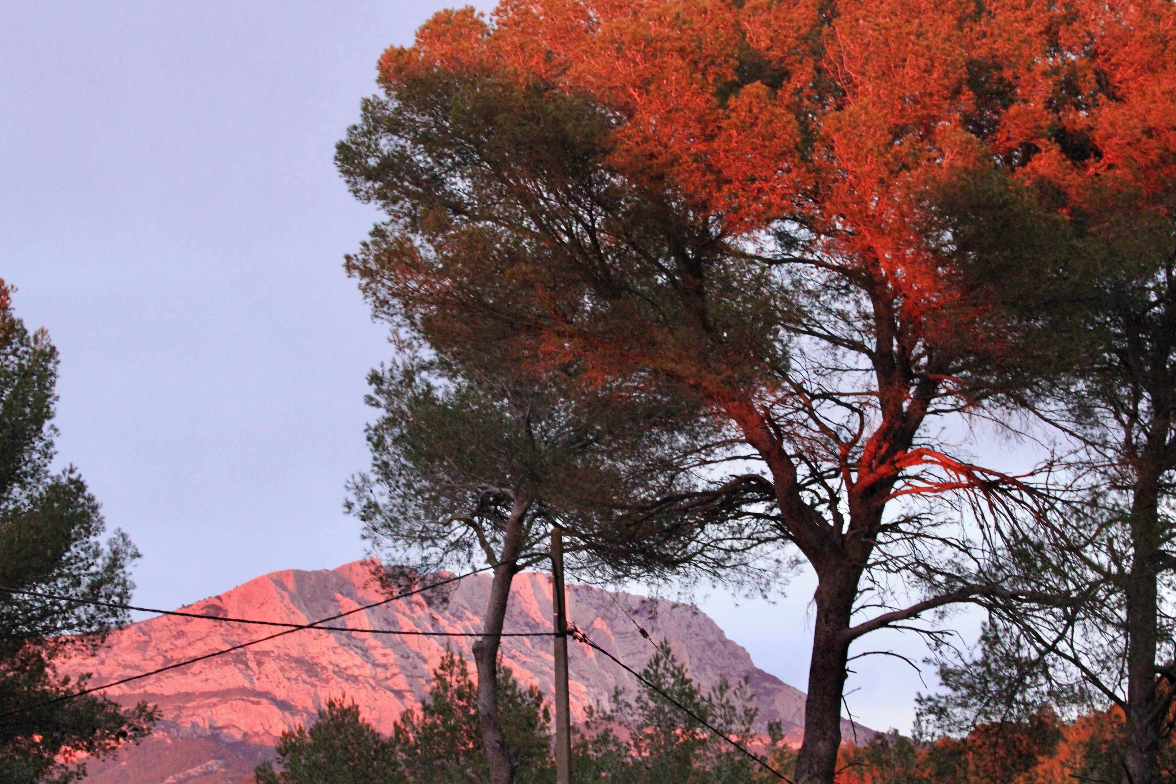 Un paysage montagneux aux arbres aux couleurs automnales, sous un ciel dégagé.