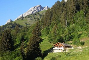 Exterior - LA CLUSAZ ALPINE CHALET (LA CLUSAZ)