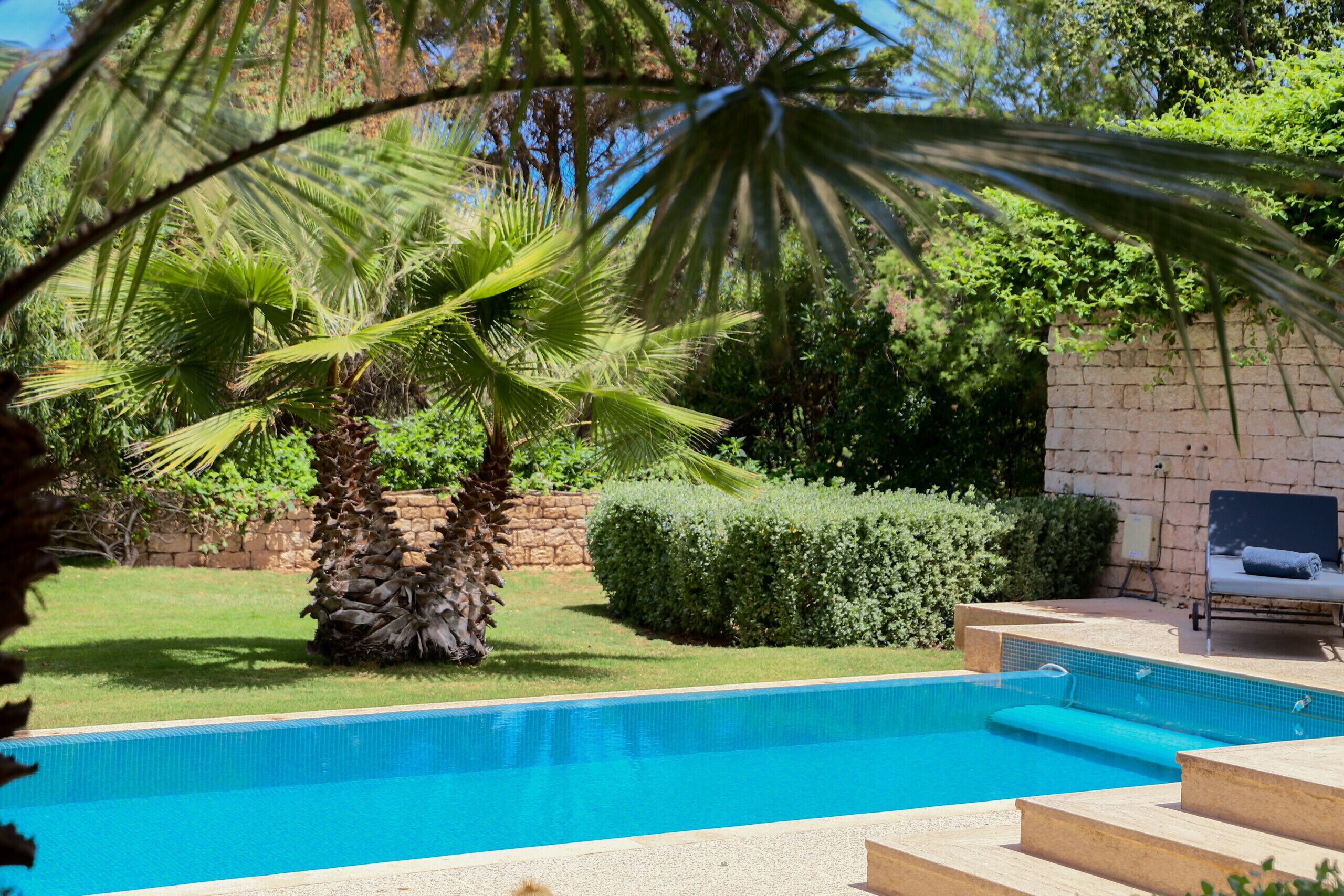 Une piscine bordée de palmiers, avec un mur de pierre en arrière-plan.