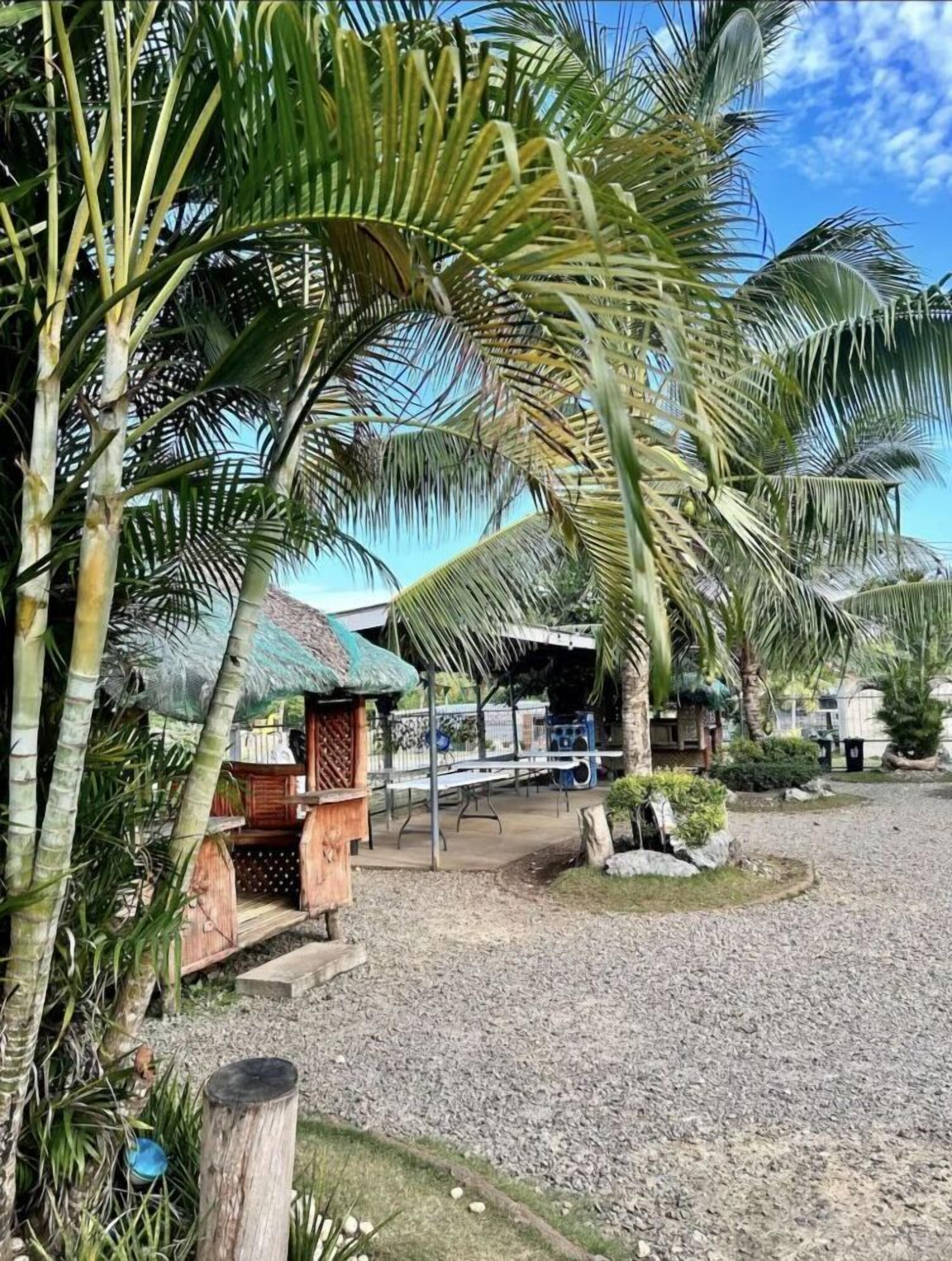 Un espacio al aire libre tropical con palmeras, un área de estar cubierta y un camino de grava.