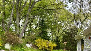 Een tuin met een stenen muur, Adirondack stoelen en een pad dat naar een huis leidt.