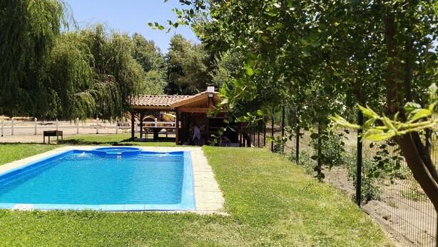 Ein rechteckiger Swimmingpool mit einer mit Fliesen belegten Liegefläche, umgeben von Gras und Bäumen.